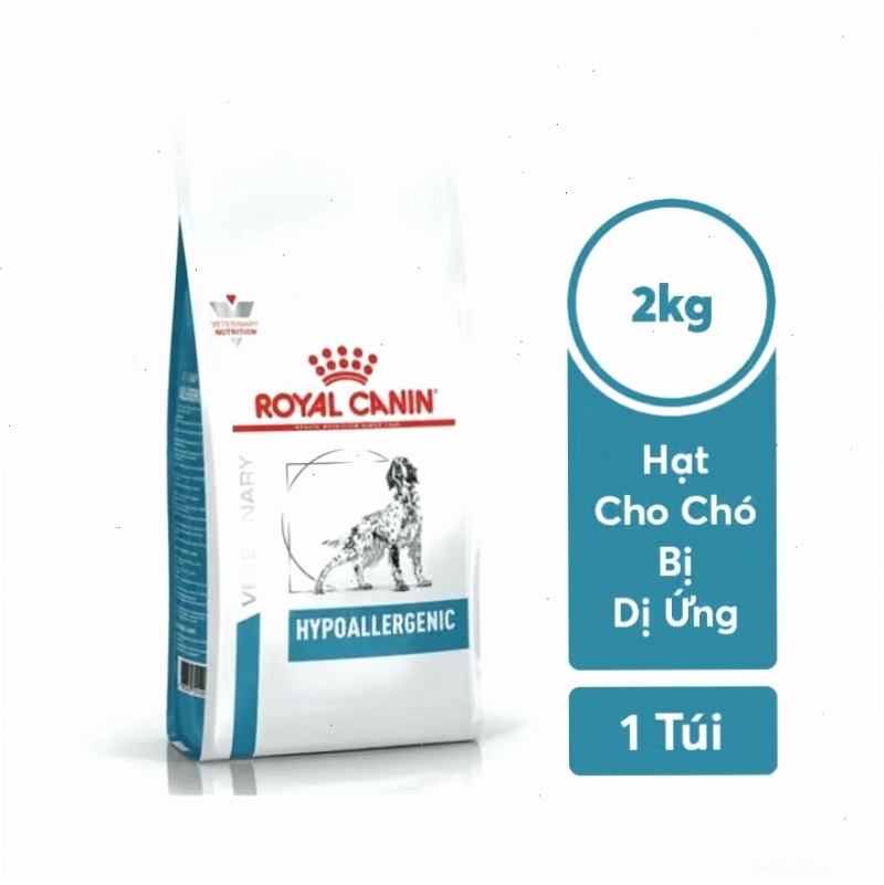 Sản phẩm thức ăn hỗ trợ giảm kích ứng cho chó bị dị ứng