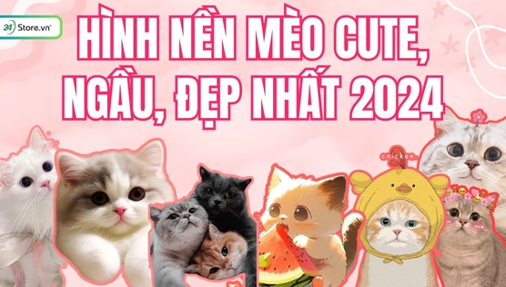 Tổng hợp 100+ ảnh mèo ngầu, cool ngầu và chất lừ cho tín đồ yêu thú cưng